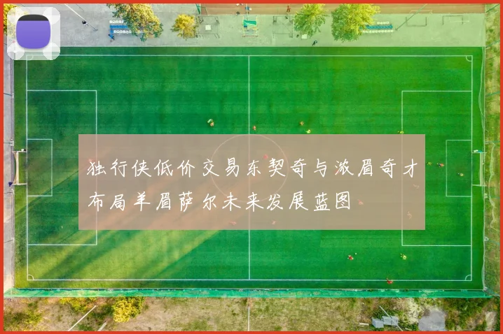 独行侠低价交易东契奇与浓眉奇才布局羊眉萨尔未来发展蓝图