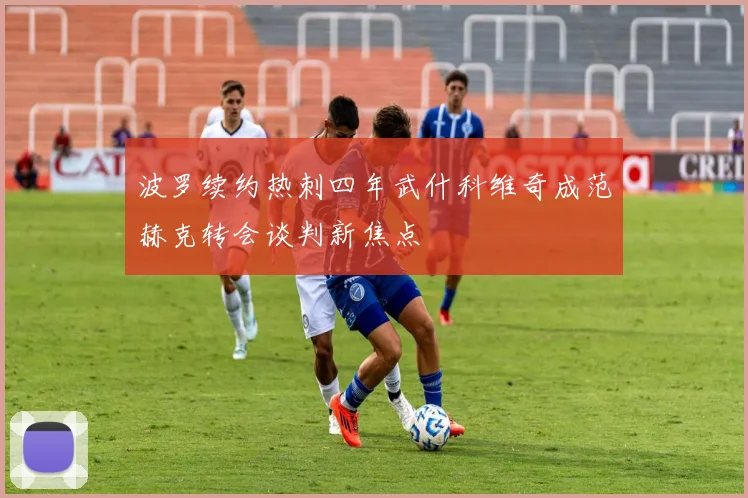 波罗续约热刺四年武什科维奇成范赫克转会谈判新焦点